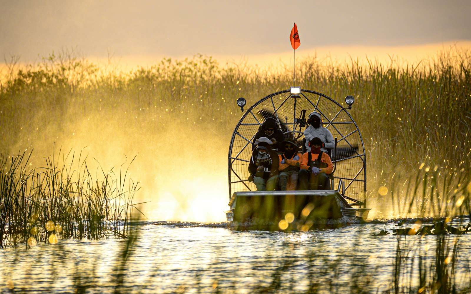 An airboat in the golden sawgrass of the Everglades