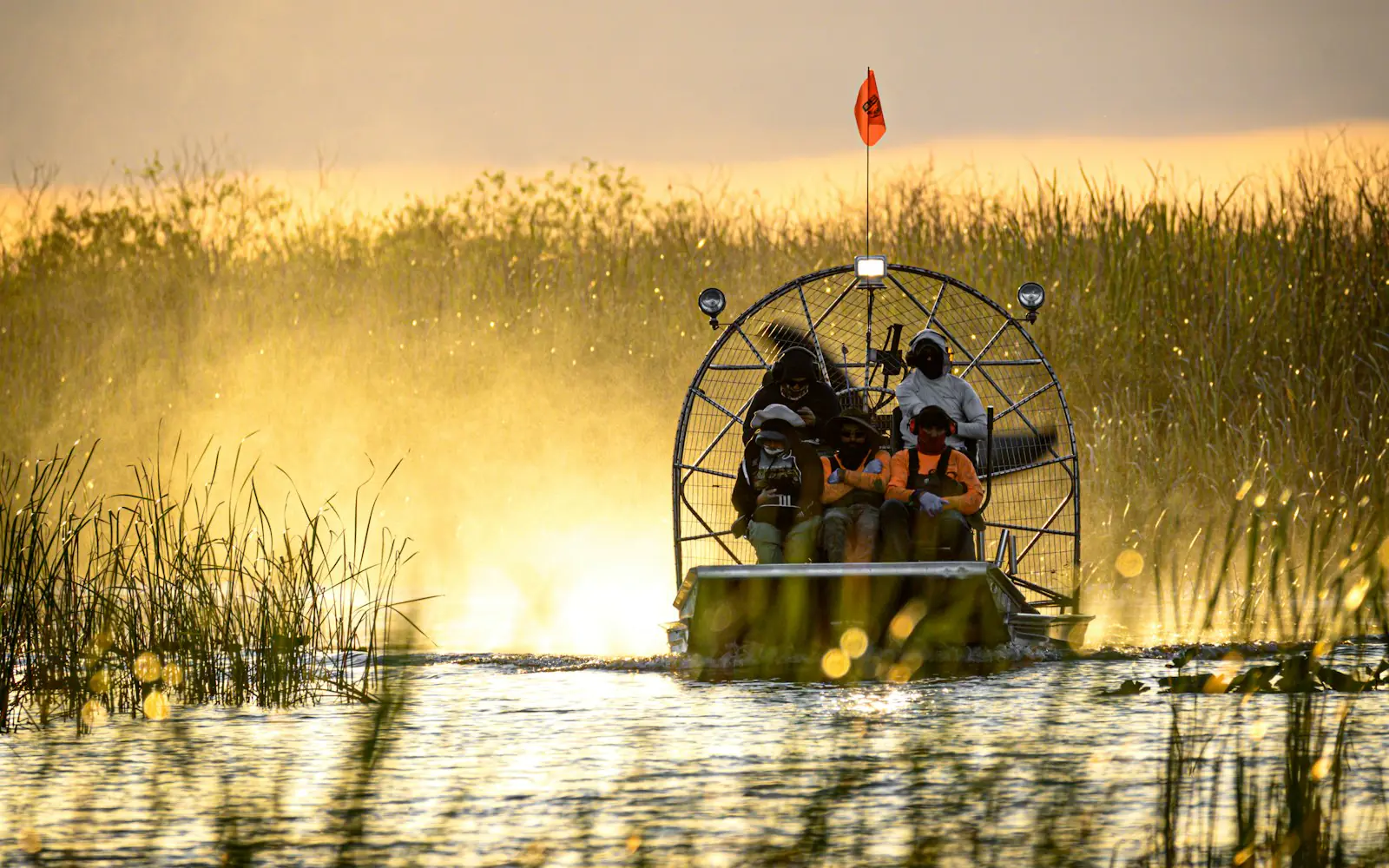 An airboat in the golden sawgrass of the Everglades