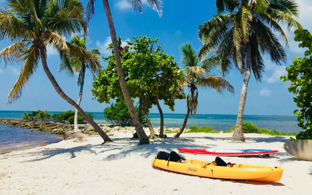 Palm trees and kayaks on a white-sand beach in the Florida Keys